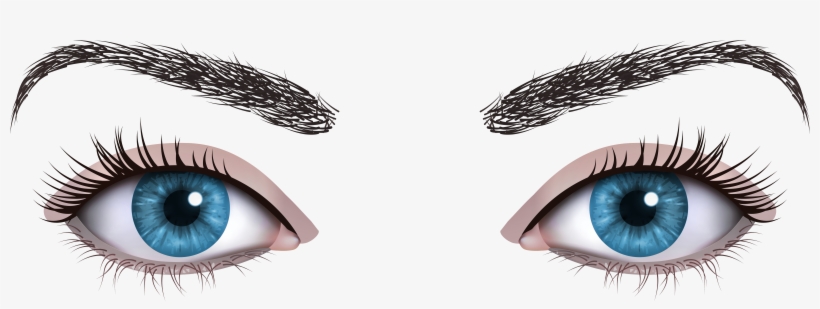 Blue Female Eyes Png Clipart - Cílios E Sobrancelha Png, transparent png download