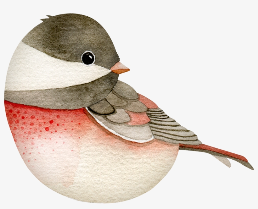 Яндекс - Фотки - Portable Network Graphics, transparent png download