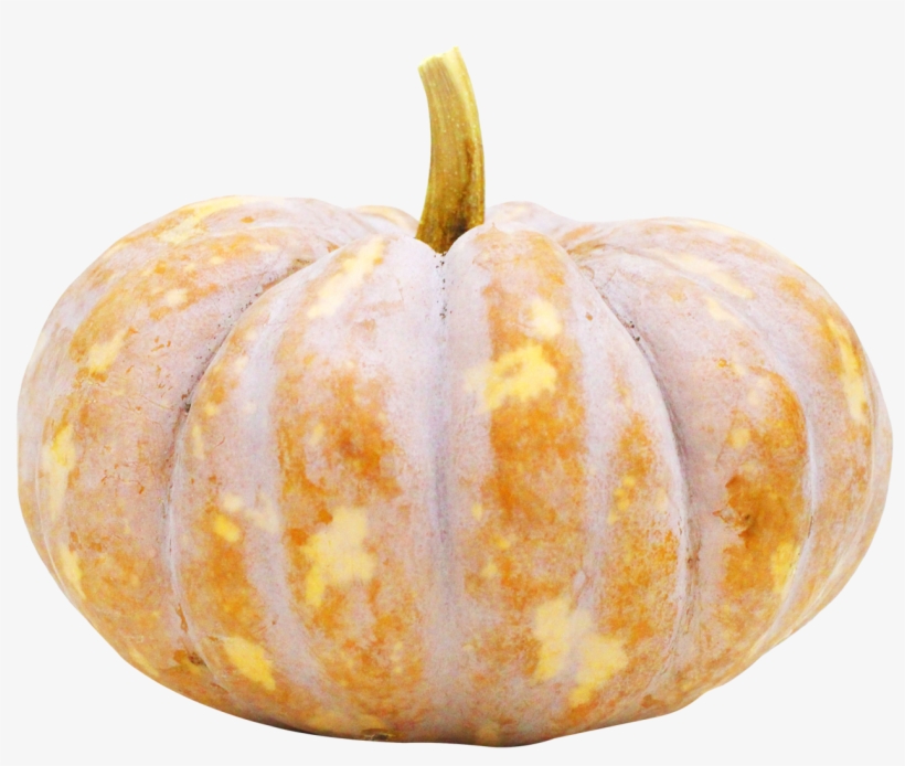 Download Pumpkin Png Image - Pumpkin Png, transparent png download