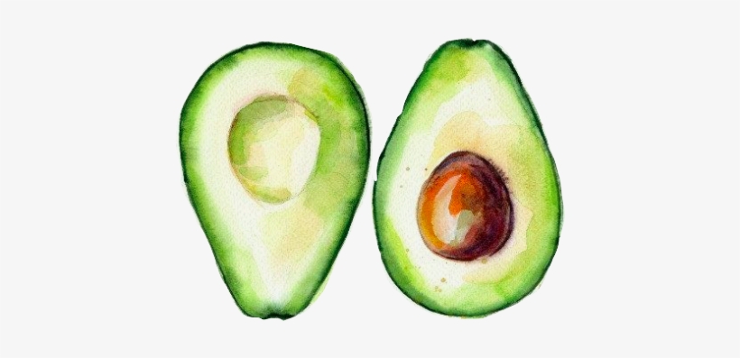 Avo - Avocado, transparent png download