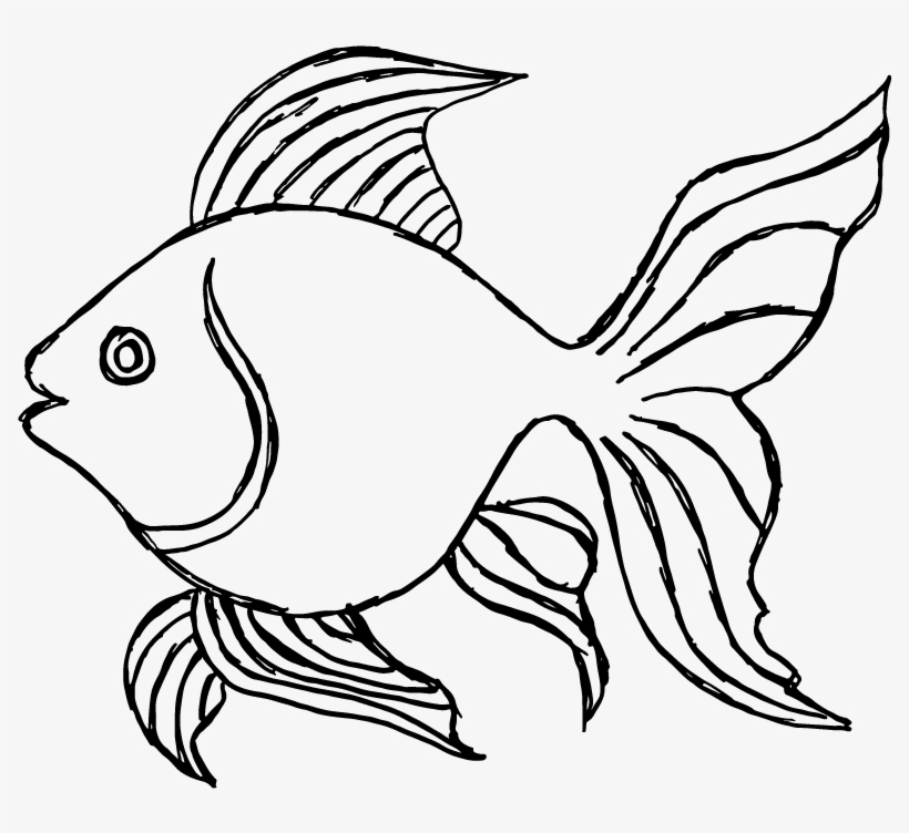 Download Little Goldfish Drawing Png Image Transparent Png Free
