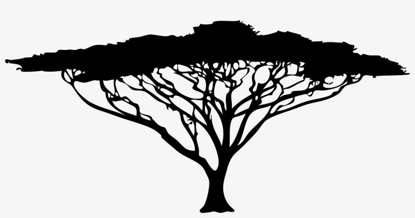 Roots Clipart African Acacia Tree Silhouette Png Png Image Transparent Png Free Download On Seekpng