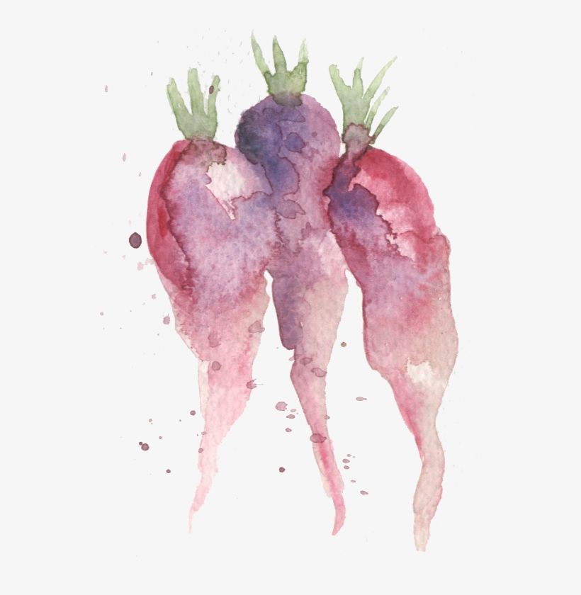 Beetroot, transparent png download