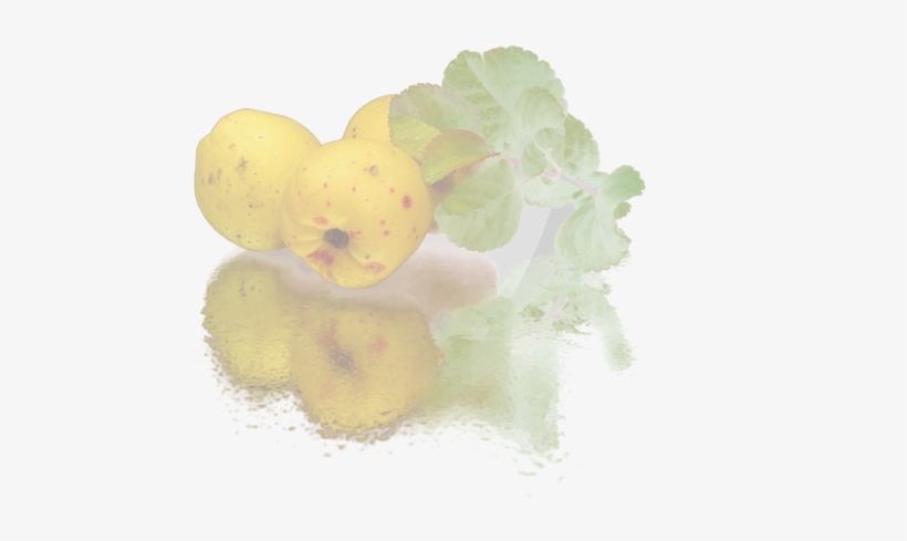 Pigwa - Soplica Pigwowa Quince Vodka, transparent png download