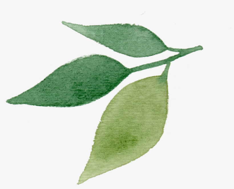 I Create Paper Goods With The Same Level Of Left Brained - Leaf, transparent png download