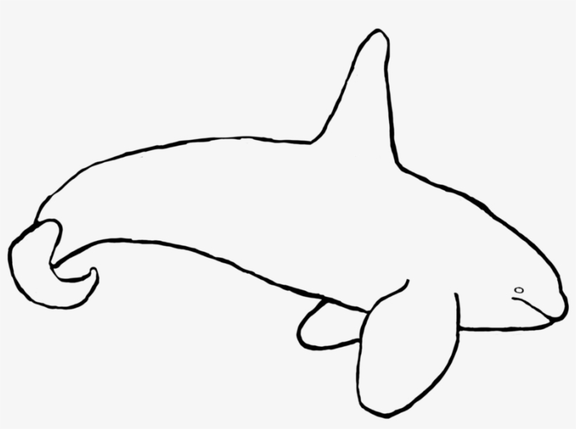 Free For Use Orca Bull Lineart By Rockypockypuff On - Killer Whale, transparent png download