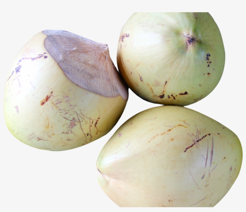 Top View Of Coconut Png Image - Portable Network Graphics, transparent png download