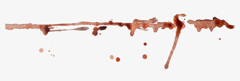 They Didn't Know Where The Ducks Were Going In The, transparent png download