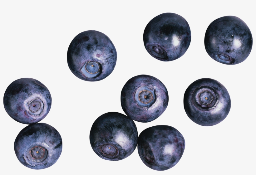 Blueberries Png Png Image Transparent Png Free Download On Seekpng