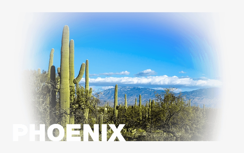 Poster: Cameramanhamilton's Desert Scape, 61x41cm., transparent png download