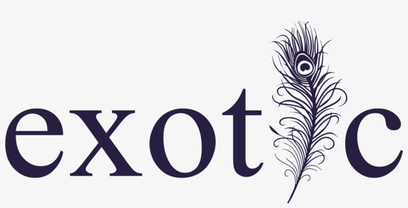 Packed Gift Box, Chocolate Box And Sweet Box, Dry Fruits - Exit International, transparent png download