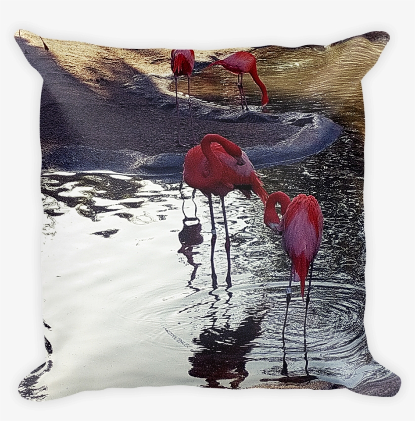 Flamingo " - Flamingo, transparent png download