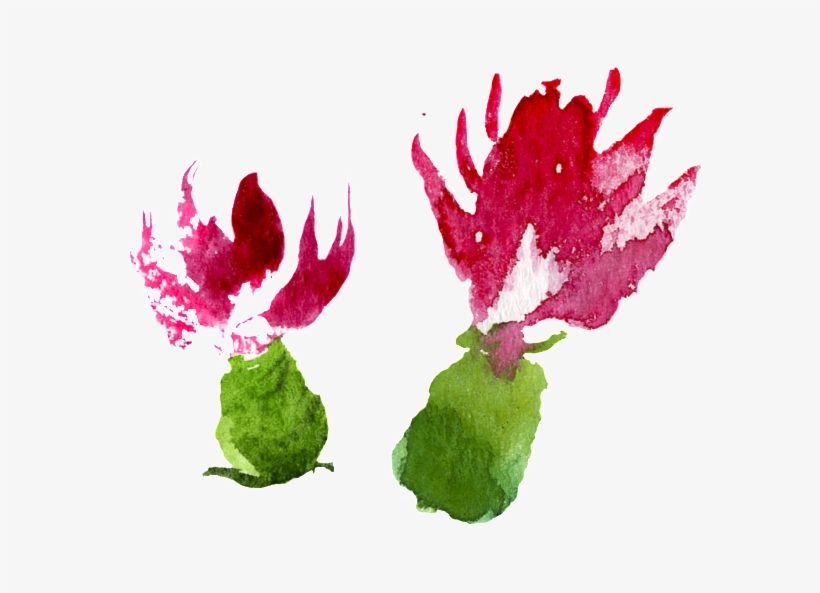 Watercolor Hand Painted Fruits And Vegetables Flowers - Watercolor Painting, transparent png download
