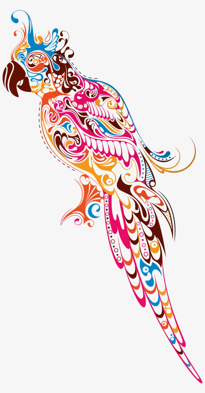 Big Image - Colored Parrot Png, transparent png download