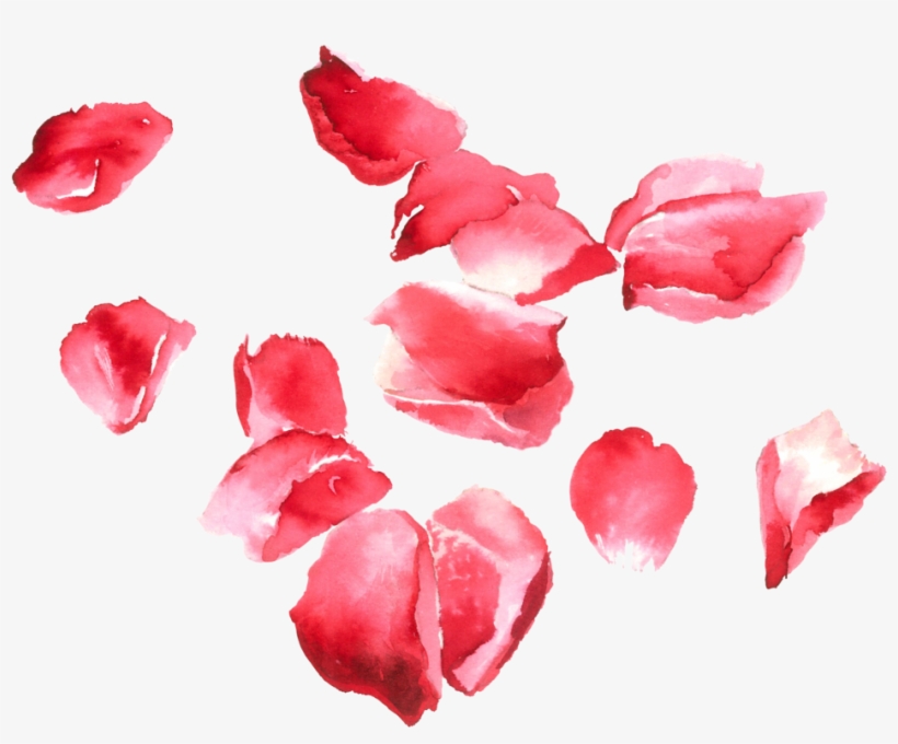 Transparent Rose Petals Png, transparent png download