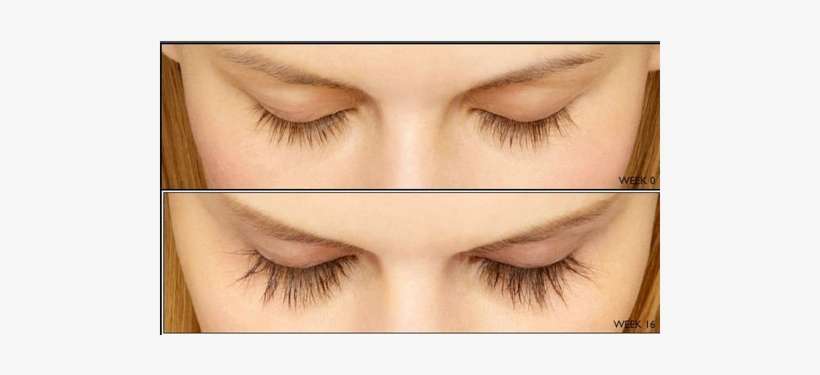 Feg Eyelash Enhancer Eyelash Serum Eyelash Growth Serum - Hubee Eyelashes Growth Powerful Serum Thick Eye Lash, transparent png download