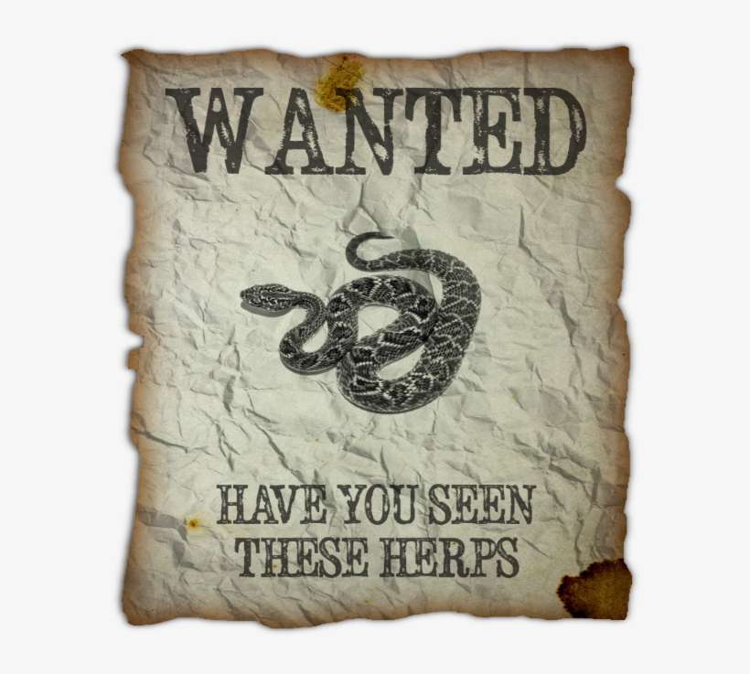 Have You Seen These Herps - Poster, transparent png download