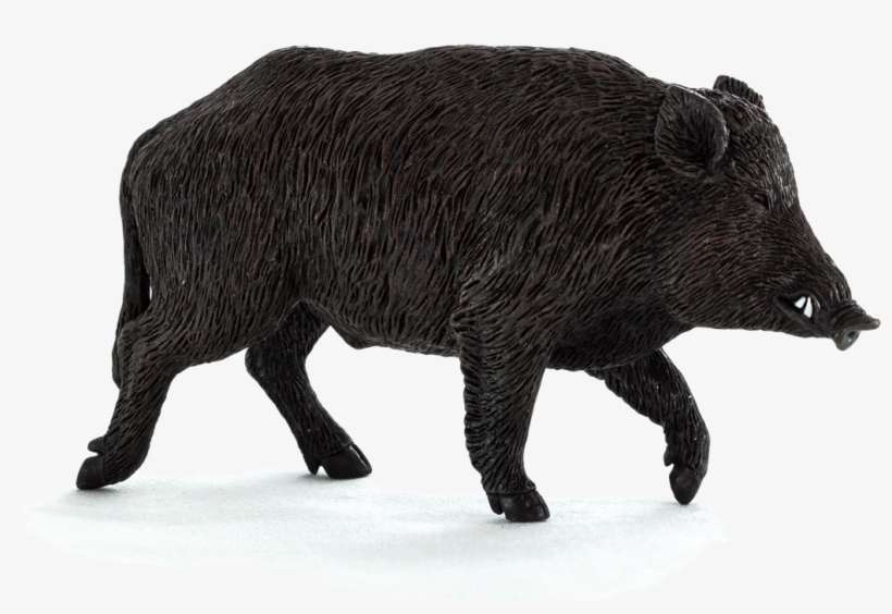 Wild Boar Png File - Mojo Wild Boar, transparent png download