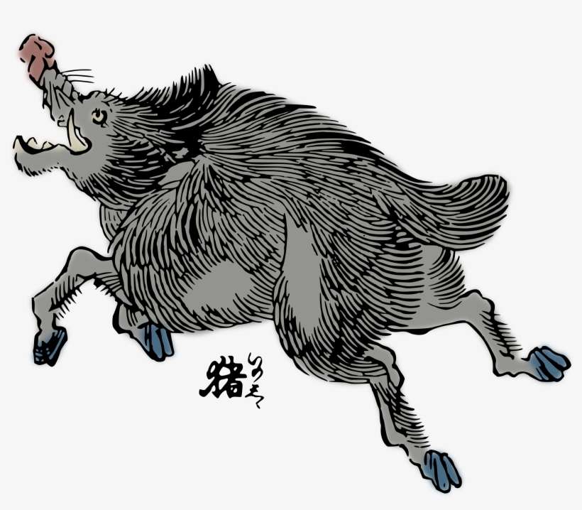 This Free Icons Png Design Of Wild Boar PNG Image | Transparent PNG ...