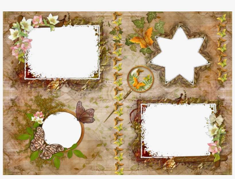 Fotomontajes Con Flores Rosadas Y Marcos Simples - Photography, transparent png download