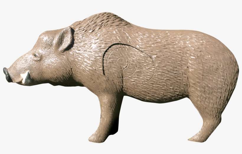 Bring Home The Bacon With The Rinehart Woodland Boar - Rinehart Woodland Target, transparent png download