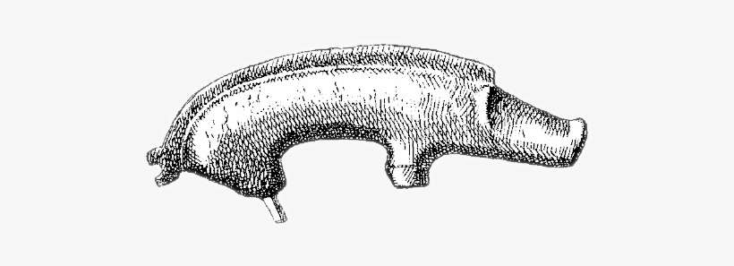 1904 Guilden Morden Boar Drawing - Guilden Morden Boar, transparent png download