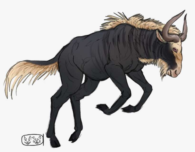 Boar - Illustration, transparent png download