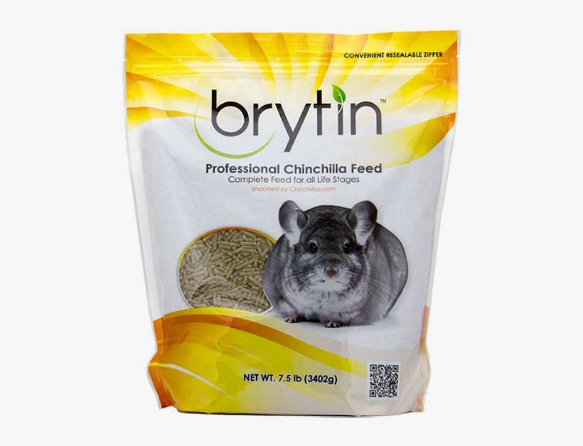 Chinchilla, transparent png download