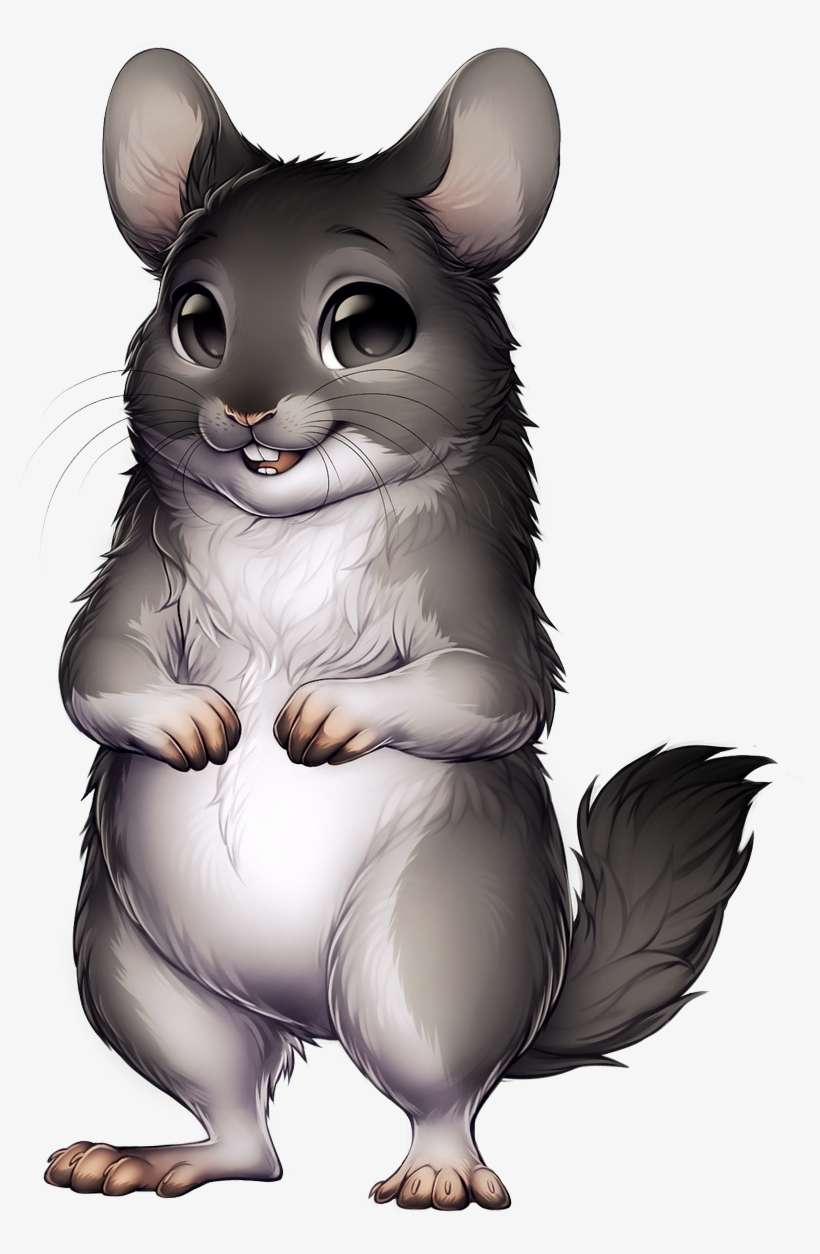 Chinchilla Png, transparent png download