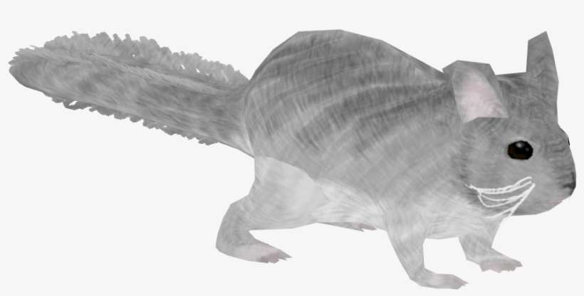 Long-tailed Chinchilla, transparent png download