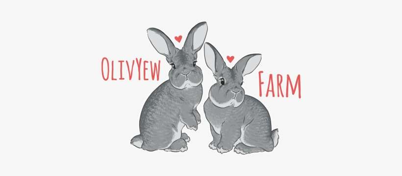 Rabbit, transparent png download