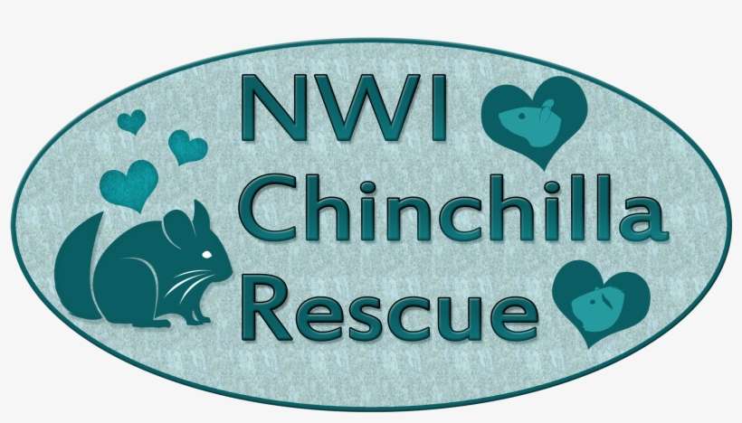 Nwi Chinchillas, Located In Northwest Indiana, Has - Indiana, transparent png download