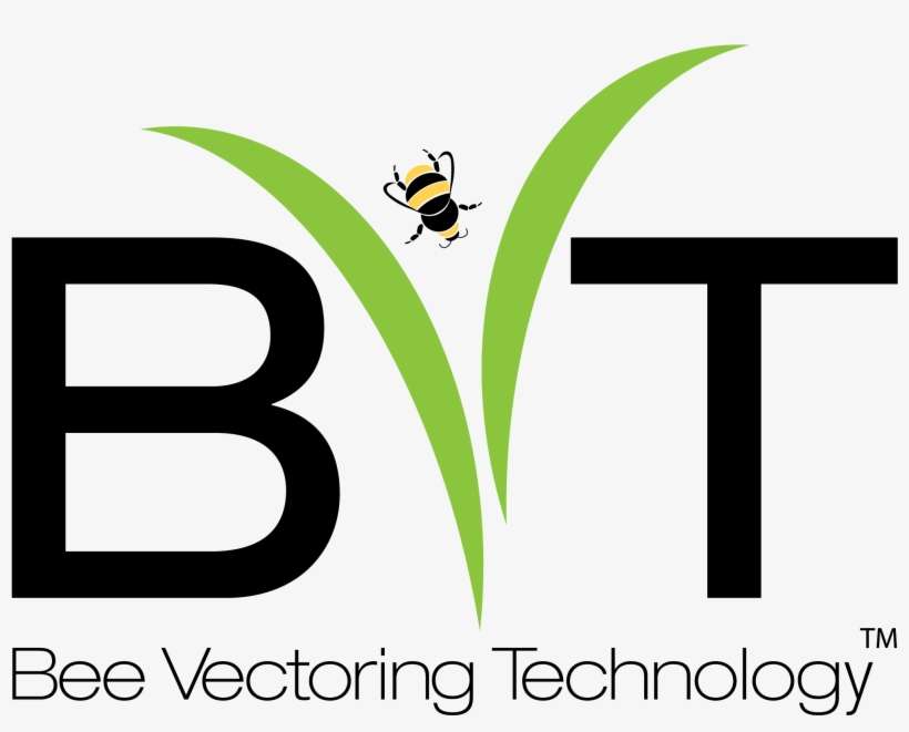 Download Sizes - Bee Vectoring Technologies, transparent png download