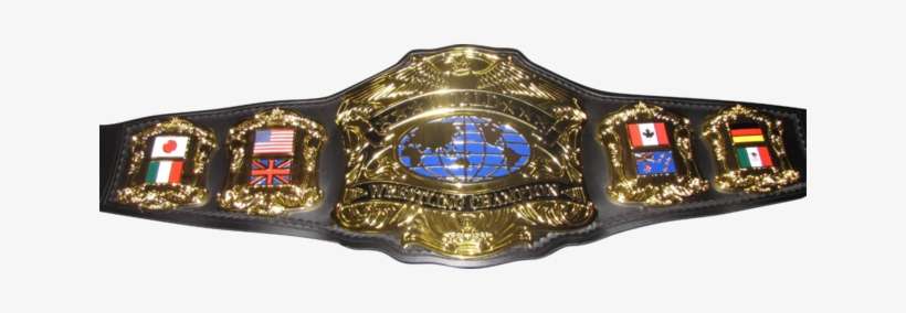 Tnxa Universal Championship - Professional Wrestling Championship, transparent png download