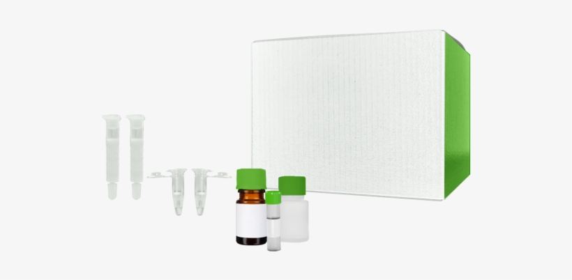 Invent Biotechnologies Minute™ Chloroplast Isolation - Natural Competence, transparent png download