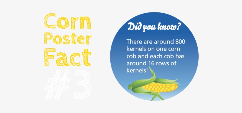 Planting Your Corn Seeds - Maize, transparent png download