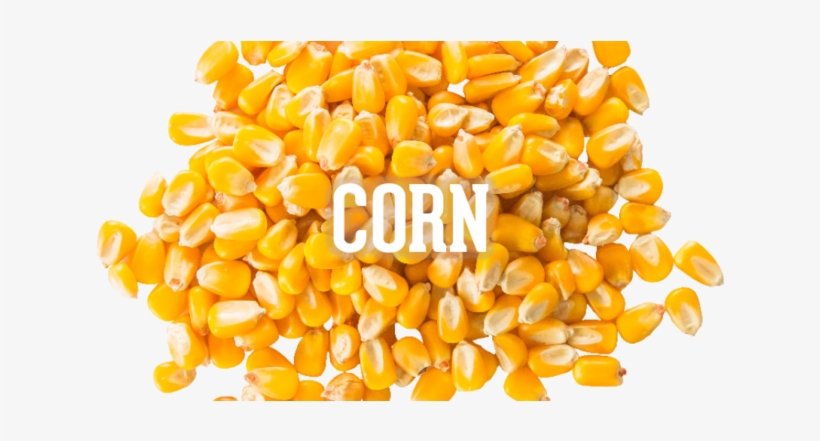 1256278786 - Maize, transparent png download
