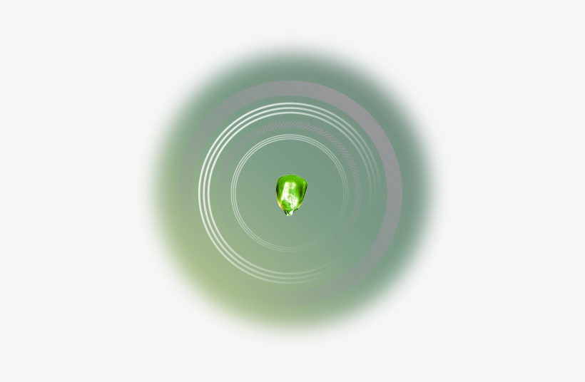 Acceleron Seed Applied Solutions For Corn - Maize, transparent png download