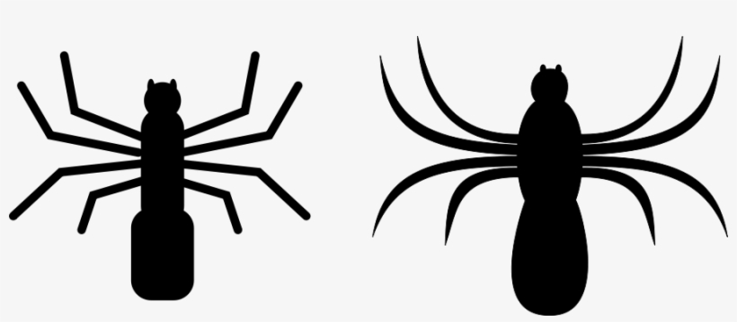 How To Set Use Spider Aranya Clipart - Spiders Clip Art, transparent png download