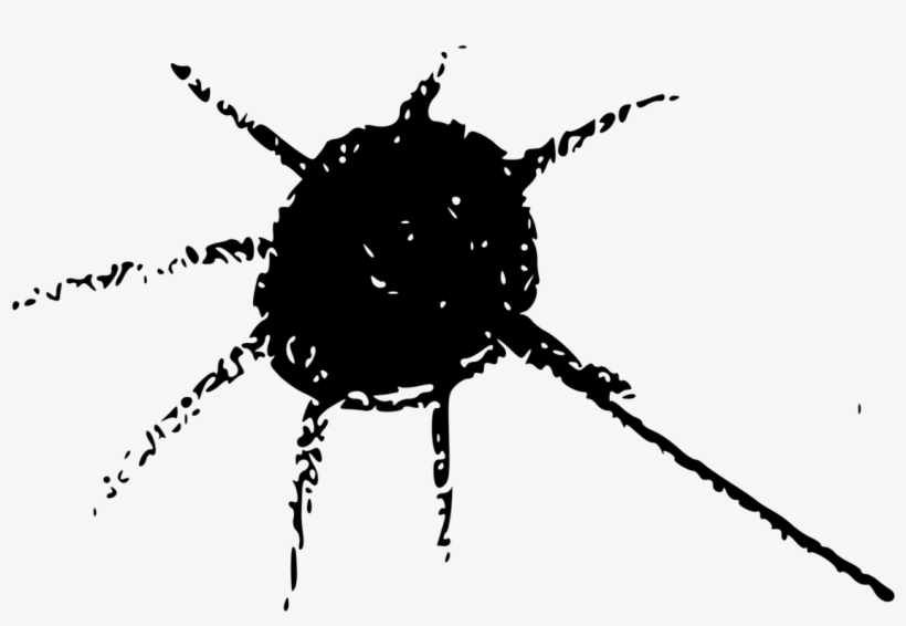 Beetle Fly Spider Web Arthropod - Clip Art, transparent png download