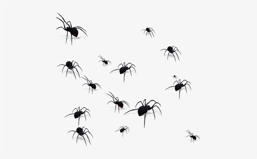 Membrane-winged Insect, transparent png download