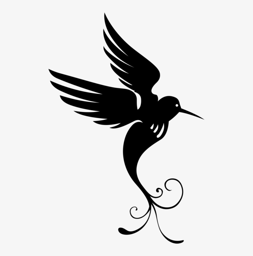 Hummingbird Silhouette Duck Bird Of Prey - Bird Of Paradise Png, transparent png download