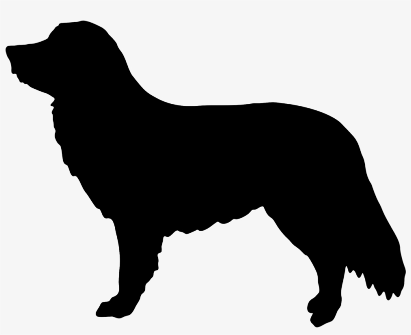 Nova Scotia Duck Tolling Retriever Silhouette, transparent png download
