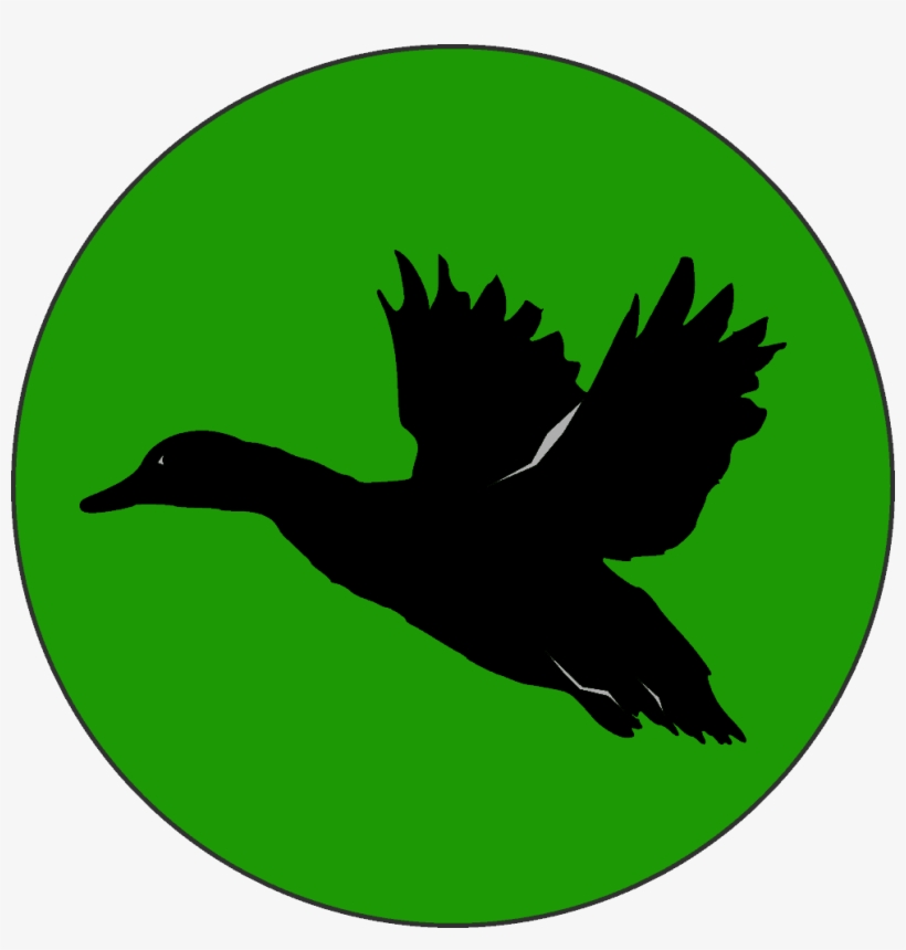 Field Trial - Duck Flying Cut Out, transparent png download