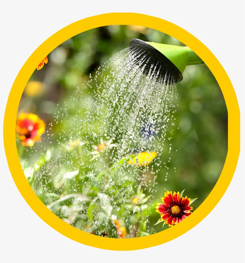 Get Involved - Use Of Water, transparent png download