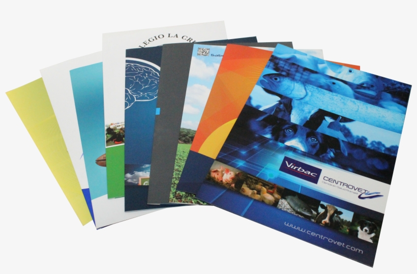 Inicio - Carpetas - Imprenta Diagrama, transparent png download