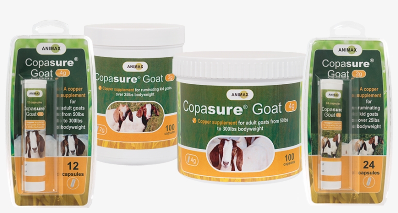 Product Spotlight - Mulch, transparent png download