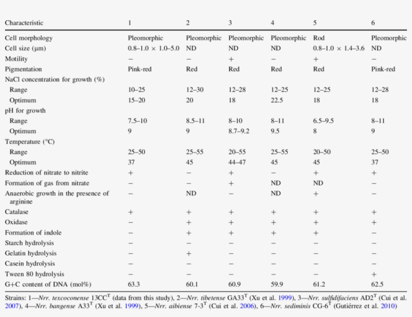 Characteristics Of Natronorubrum Texcoconense Gen - Biochemical Characterization Of Lactic Acid Bacteria, transparent png download