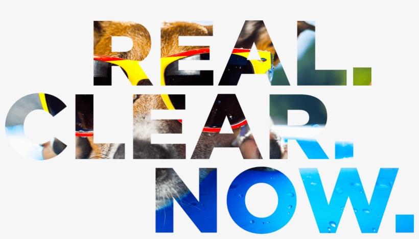 Tony Pasquale Real Clear Now - Graphic Design, transparent png download