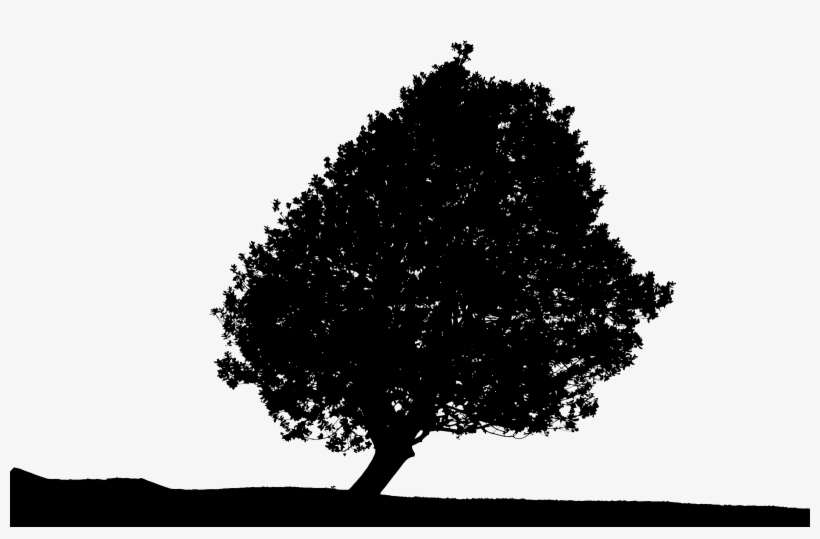 Office Plant Png - Lonely Tree Silhouette, transparent png download